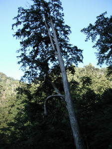 DSCF3901.JPG