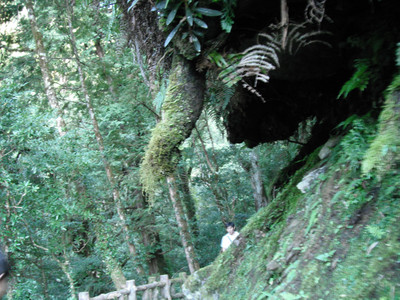 DSCF3903.JPG