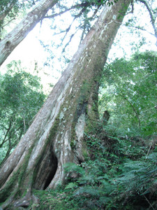 DSCF3905.JPG