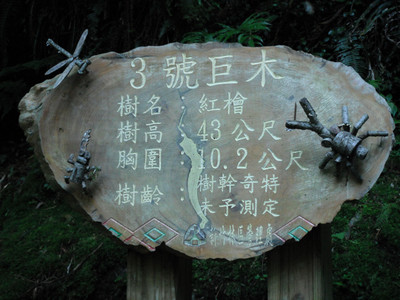 DSCF3907.JPG