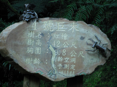 DSCF3908.JPG
