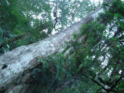 DSCF3909.JPG