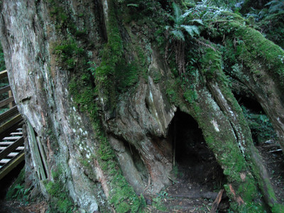 DSCF3910.JPG