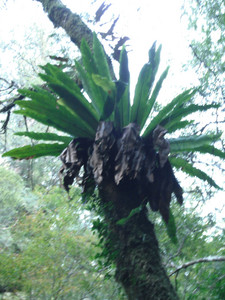 DSCF3920.JPG