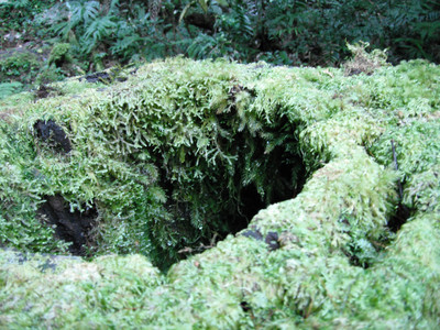 DSCF3921.JPG