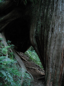 DSCF3922.JPG
