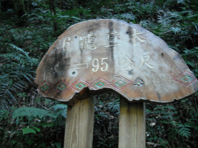 DSCF3923.JPG