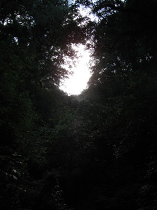 DSCF3926.JPG