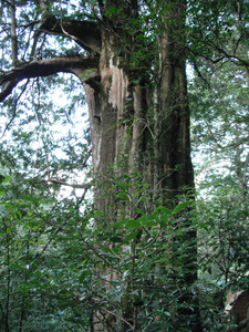DSCF3929.JPG