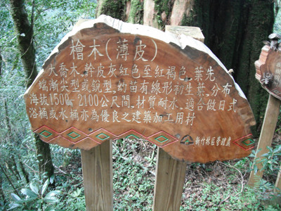 DSCF3930.JPG