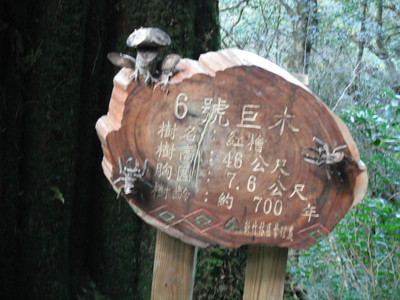 DSCF3931.JPG