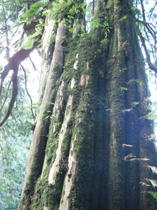 DSCF3932.JPG