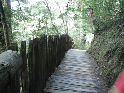 DSCF3933.JPG