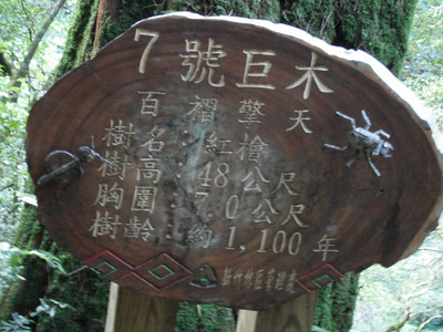 DSCF3934.JPG