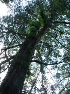 DSCF3935.JPG