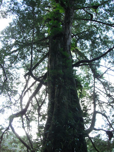 DSCF3936.JPG
