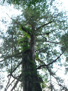 DSCF3937.JPG