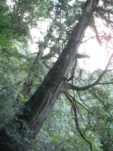 DSCF3939.JPG