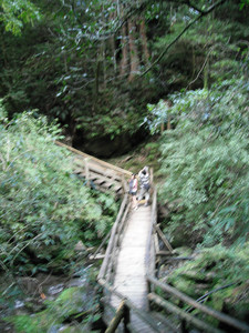 DSCF3942.JPG