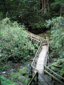 DSCF3943.JPG