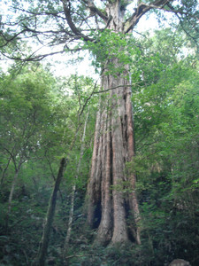 DSCF3945.JPG