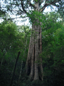 DSCF3946.JPG