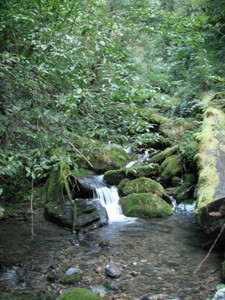 DSCF3948.JPG