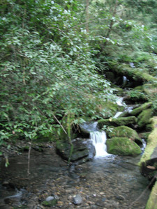 DSCF3949.JPG
