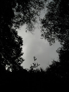 DSCF3953.JPG