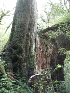 DSCF3956.JPG