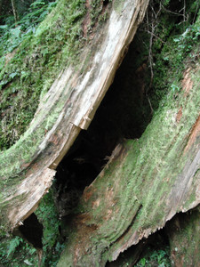 DSCF3957.JPG