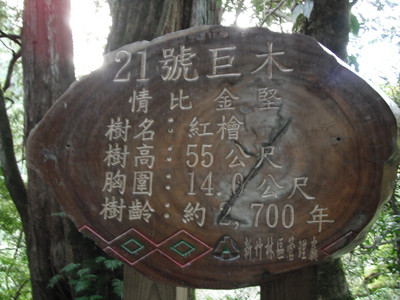 DSCF3958.JPG