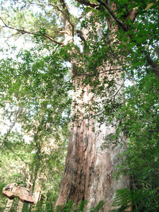 DSCF3962.JPG