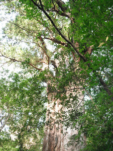 DSCF3963.JPG