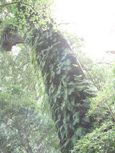 DSCF3968.JPG