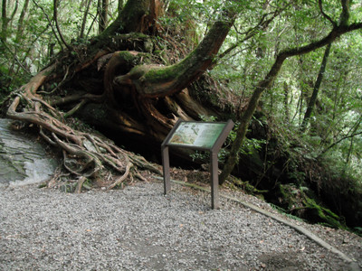 DSCF3970.JPG