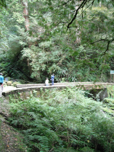 DSCF3972.JPG