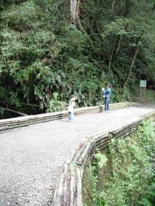 DSCF3974.JPG