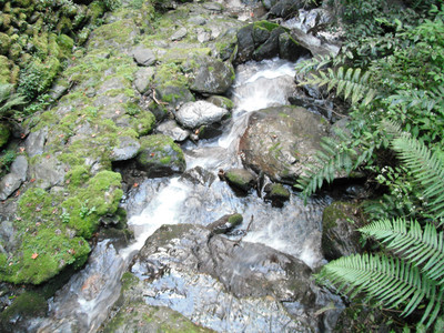 DSCF3977.JPG