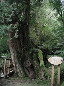 DSCF3981.JPG