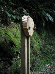 DSCF3982.JPG