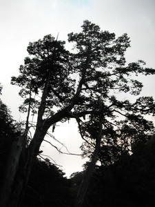DSCF3987.JPG