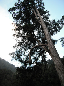 DSCF3988.JPG