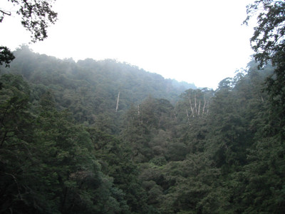 DSCF3990.JPG