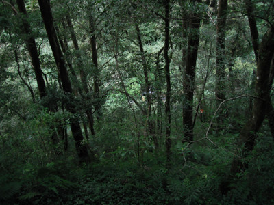 DSCF3991.JPG