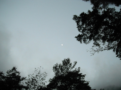 DSCF3993.JPG