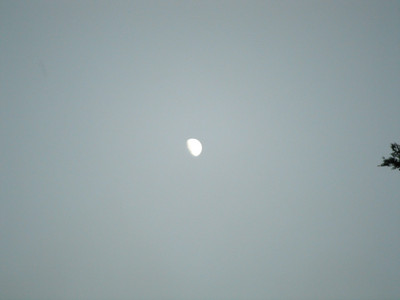 DSCF3994.JPG