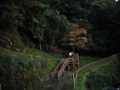 DSCF3995.JPG