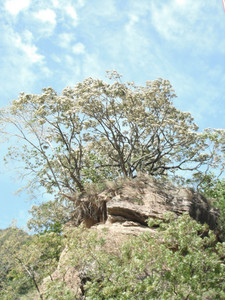 DSCF4022.JPG