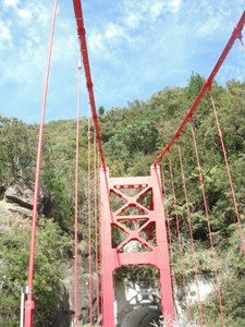 DSCF4030.JPG
